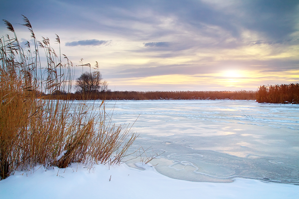 Frozen body of water